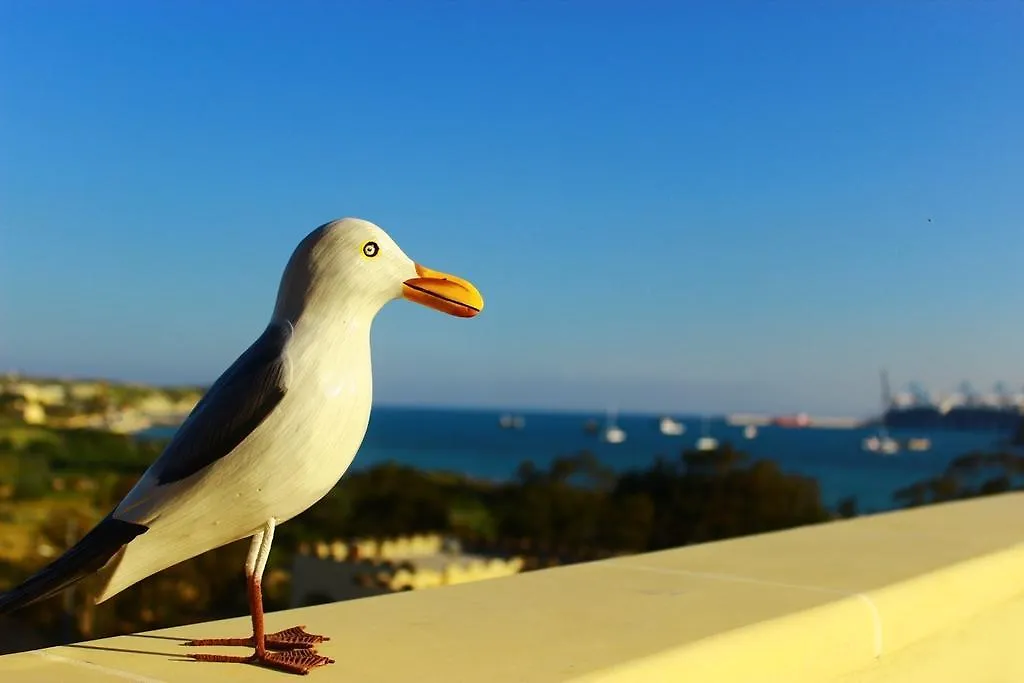 Seagull Penthouse Marsaxlokk Apartment